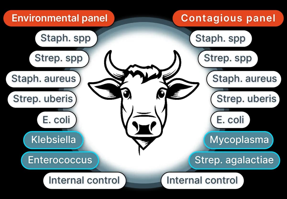 Pathogens Diagram