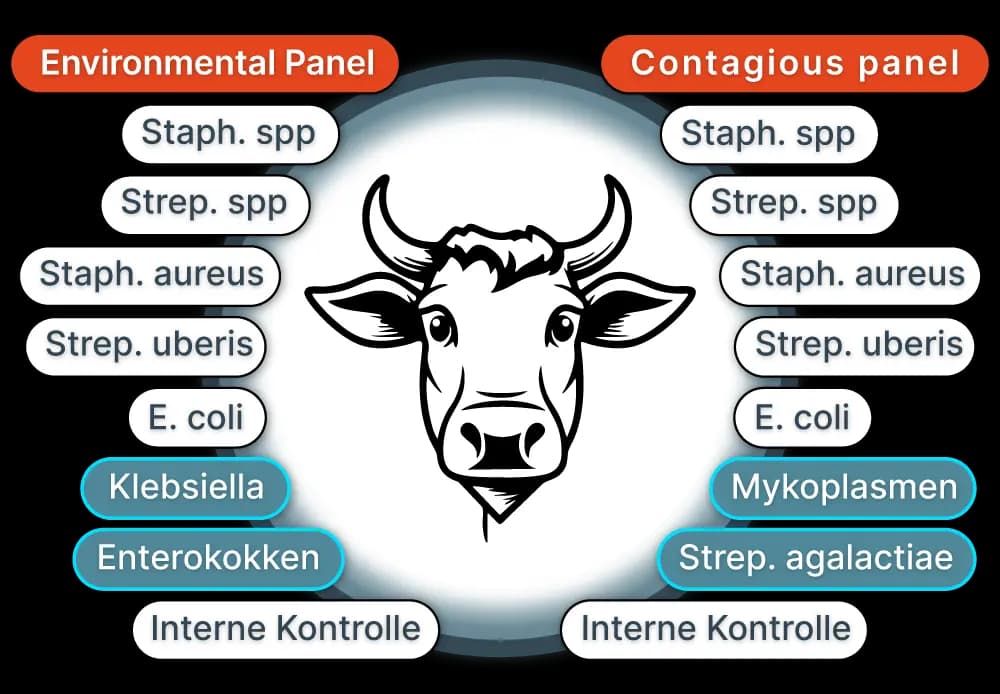 Pathogens Diagram