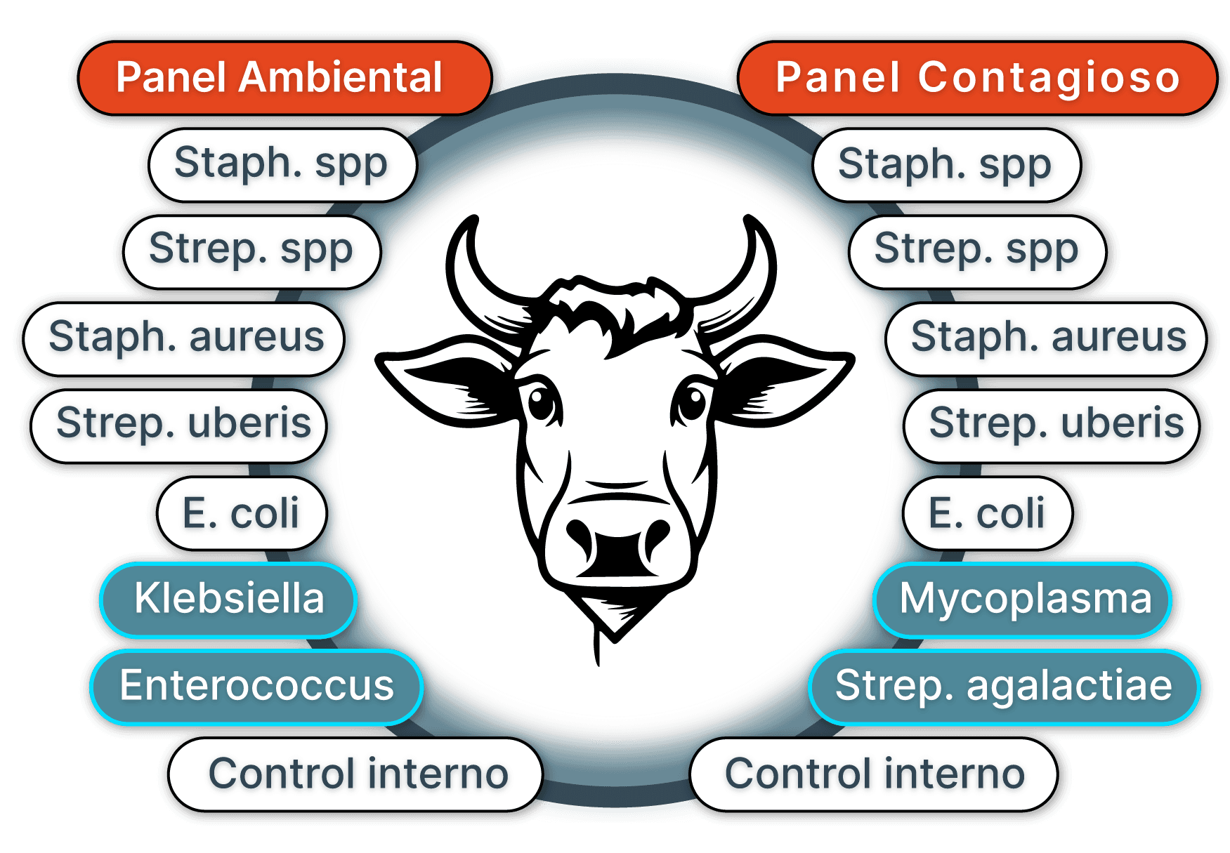 Pathogens Diagram